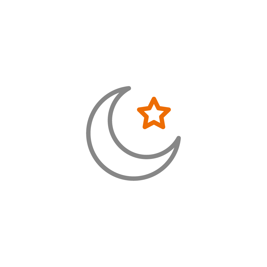 Icon 1